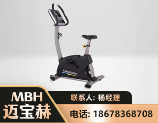 咸阳立式健身车